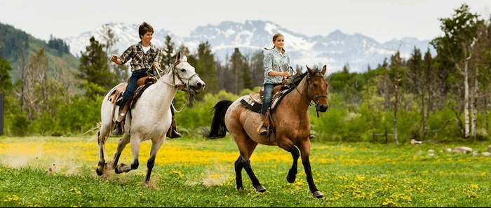 Confident plus-size woman riding East Grinstead a horse through a field with a smile on her face.
